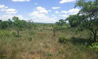 Imagem 3: Chácara de 20mil metros plana a 2.3km da MG10 com vista maravilhosa!