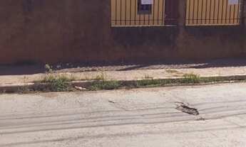 Imagem 5: Casa para alugar