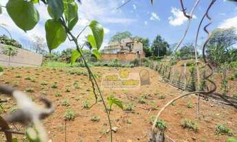 Imagem 4: Terreno à venda, 360 m² por R$ 45.000,00 - Jardim Uberaba - Uberaba/MG