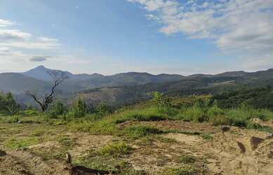 Imagem: Terreno de 20.000 M2 25 Km de BH