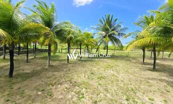 Imagem 4: Terreno Beira-Mar Exclusivo no Pontal do Boqueirão Japaratinga