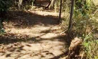 Imagem 5: Vendo terreno no Paranoá