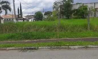 Imagem 5: ÁREA COSTEIRA / OURO FINO