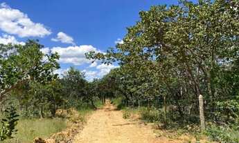 Imagem 7: Terreno de 4 ha, plano, 50% formado em baquearia, 80% terra de cultivo, Jaboticatubas