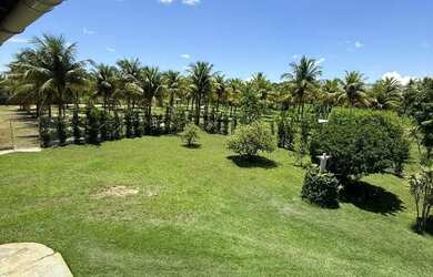 Imagem 6: Sítio Chácara com venda por R$899.000