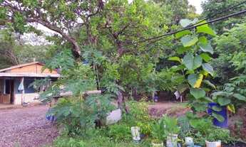 Imagem 6: Sítio na região de Cedral depois da acorizal 15 hectares