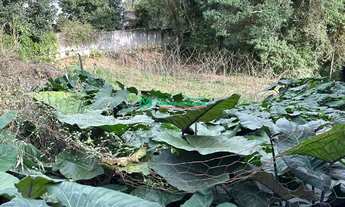 Imagem: Jardim Santa Paula