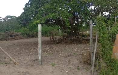 Imagem 6: Terreno para Venda localizado em São José Distrito de Maria Quiteria