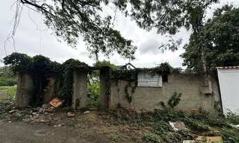 Imagem: Excelente terreno plano e murado de POSSE