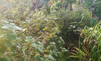 Imagem 6: Vendo esse casa Casa com 2 dormitórios