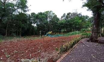 Imagem 4: Chácara à venda, 20000 m² por R$ 650.000,00 - São Salvador - Cascavel/PR