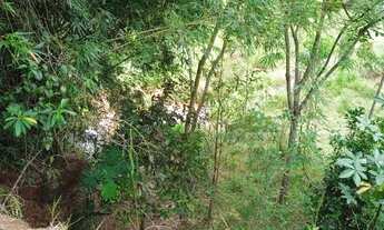 Imagem 4: Chácara à venda na estrada do Jararaca em Lorena