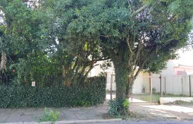 Imagem 3: Casa em Avenida Guaíba - Serraria - Porto Alegre/RS