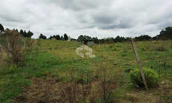 Imagem 3: Ótima área de terras em Lajeado Grande São Francisco de Paula