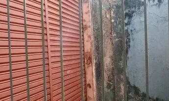 Imagem 3: BELéM - Galpão/Depósito/Armazém - São Brás