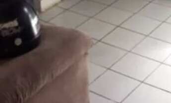 Imagem 2: Ótima Casa com piscina