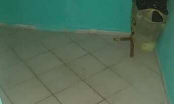 Imagem 5: Casa a venda Casa com 2 dormitórios