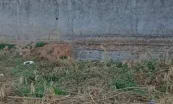 Imagem 3: Vendo Lote 360 metros excelente localização