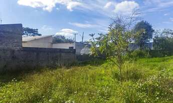 Imagem 6: Terreno Residencial para Venda em São José dos Pinhais - PR