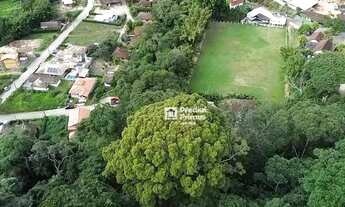 Imagem 7: Terreno à venda, 11632 m² por R$ 850.000,00 - São Pedro da Serra - Nova Friburgo/RJ