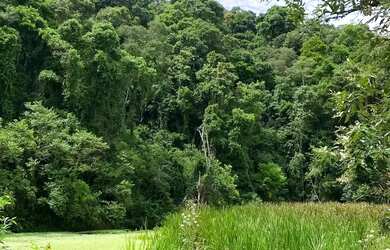 Imagem: Oportunidade Única Terreno em Ibiúna