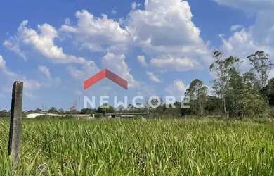 Imagem 3: Lote em Estrada Municipal Augusto Pires - Biritiba-Ussu - Biritiba-Ussu/SP