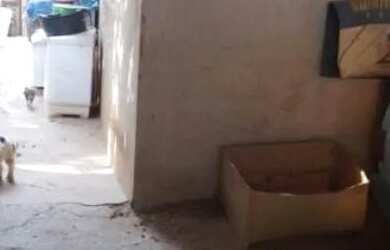 Imagem: Vende-se terreno 5X36m, com 3 cômodos