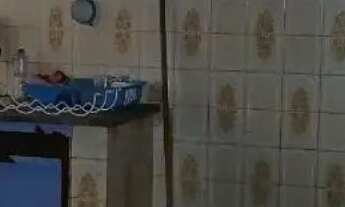 Imagem 4: Belo Horizonte - Casa Padrão - Europa