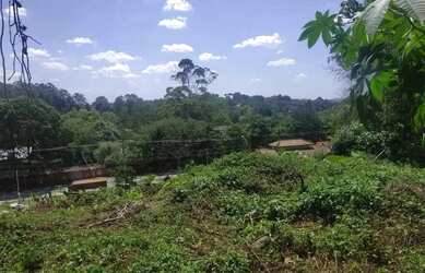 Imagem: Lote em Rua São Vicente - Granja Viana