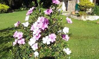 Imagem 3: CHACARA - DOIS CÓRREGOS - SP