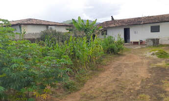 Imagem 3: Casa de fundo palmeiras dos índios Alagoas