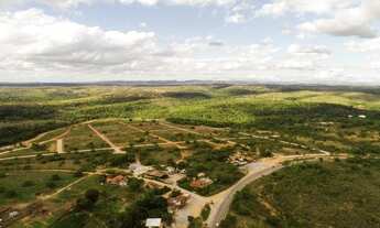 Imagem 6: Lotes de 1000m² parcelas de 677,67 aproveite!