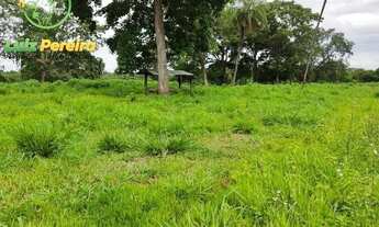 Imagem 6: FAZENDA À VENDA NO FORMOSO DO ARAGUAIA -TO - 2,008 HECTARES (DUPLA APTIDÃO