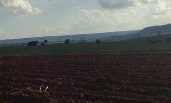 Imagem 6: Fazenda de Cana 188,50 alqueires Ribeirão Bonito SP