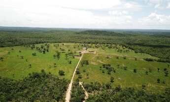 Imagem 4: Fazenda/Sítio 12,5 Alqueires a 98 km de (taquaruçu) Palmas-TO