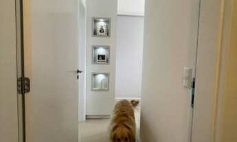 Imagem 3: Vendo apartamento com 02 dormitórios (suíte) em Barreiros - São José - SC