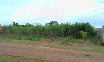 Imagem 2: Vende-se terreno 600m² Humaitá-AM