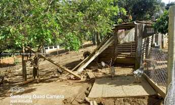 Imagem 4: Chácara Ótima Munhoz (Sul M.G) 7500 m² Casa 140m² 2d/wc/2v/pomar/horta"Oportunidade Ú