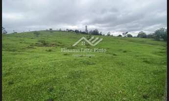 Imagem 7: Venda - Sítio 20 Alqueires, Torre de Pedra/SP