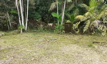 Imagem 7: SITIO RESIDENCIAL em BENEVIDES - PA, BENEVIDES