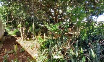 Imagem 2: Terreno no Bairro Tabajaras, Com Medidas de 12x36 Metros