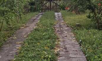 Imagem: Vendo ou troca uma fazenda