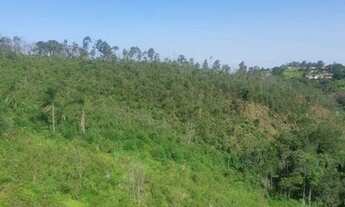 Imagem 2: Mairiporã - São Paulo