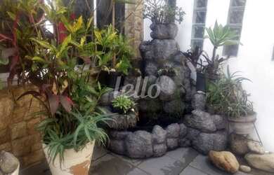 Imagem 3: São Paulo - Casa Padrão - Mooca