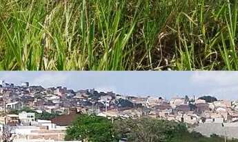 Imagem 4: Terreno Gravatá