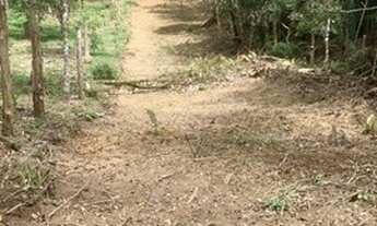 Imagem 3: Chácara / Sítio / 2.000 m2 - 22.000 Juquitiba