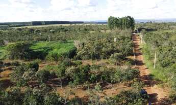 Imagem 7: Chácara 2 Hectares Chacara De 20.000M2, São 20.000M2!. 9M6UNS