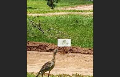 Imagem 6: Casa em condomínio Fechado São Paulo