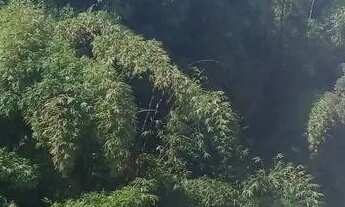 Imagem 6: ALUGO APTO 3/4 TEMPORADA NA BARRA,CARNAVAL!