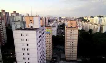 Imagem 5: SãO PAULO - Apartamento Padrão - Jardim Celeste